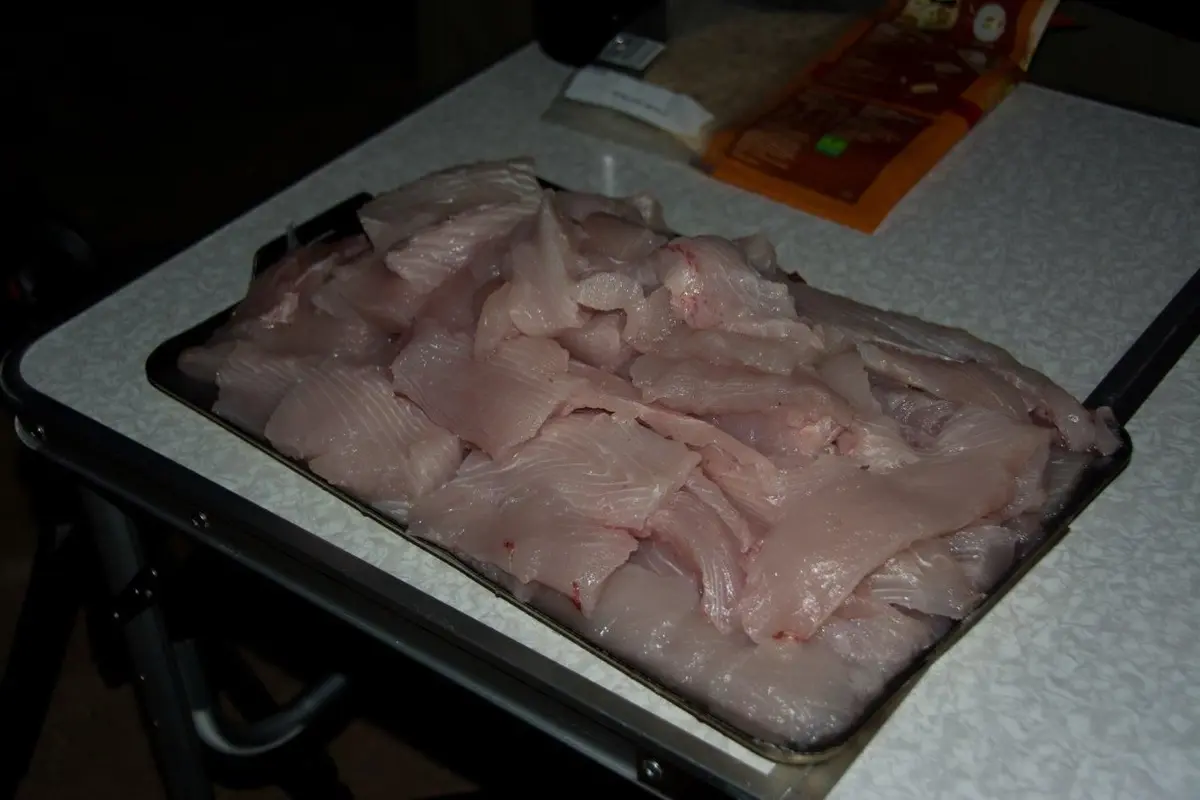 Plenty-of-fillets-from-Steep-Point