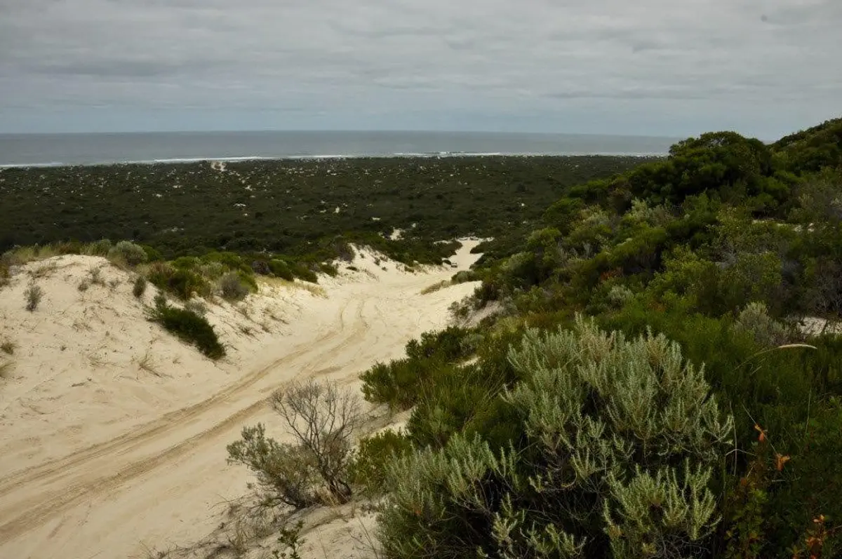 Climbing Calcup Hill