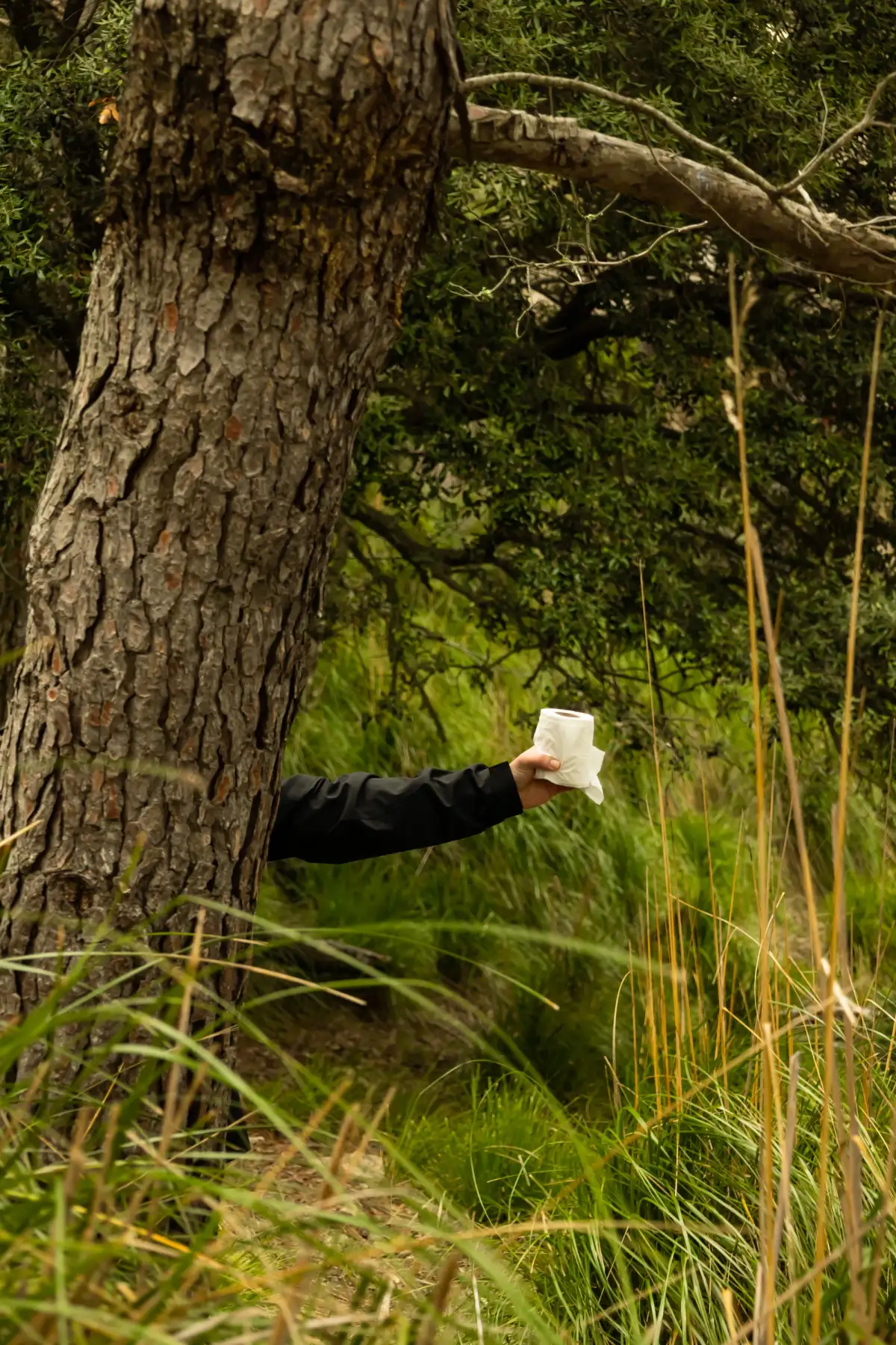 a person behind a tree holding out toilet paper