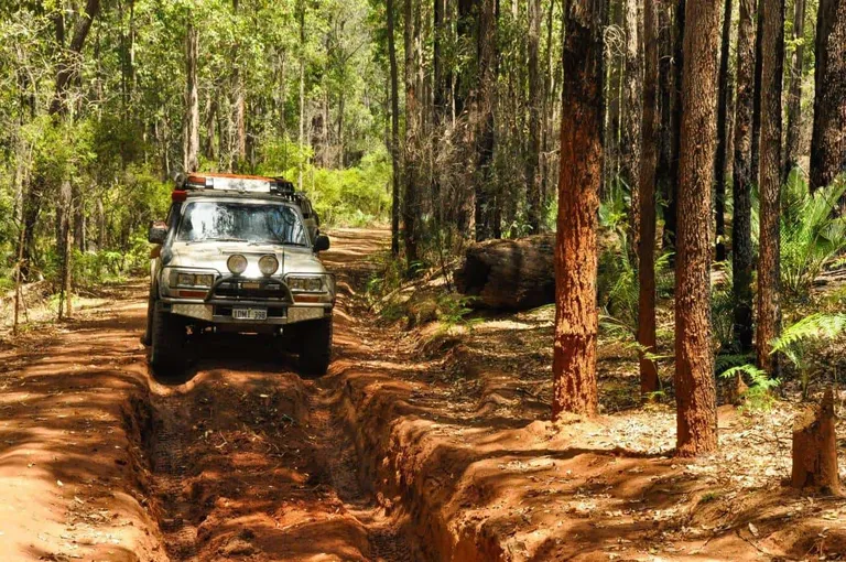 4WD tracks at Dwellingup