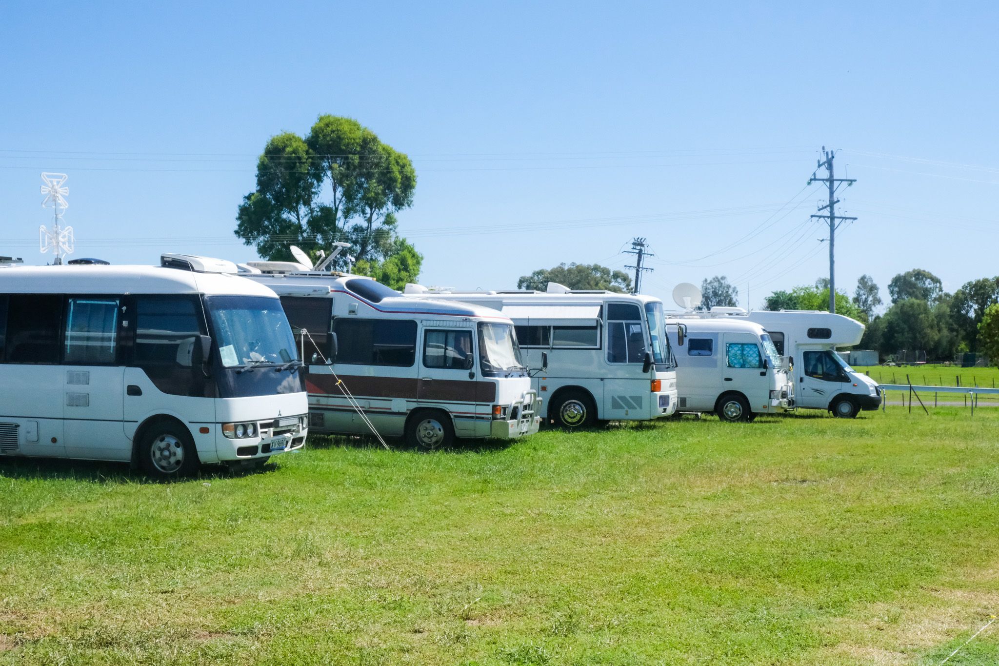 A lineup of RVs at a show