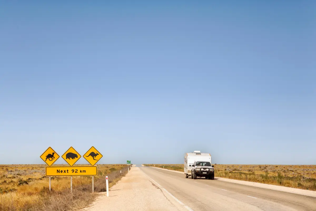 A vehicle towing a caravan along an Australian highway with road signs of animals