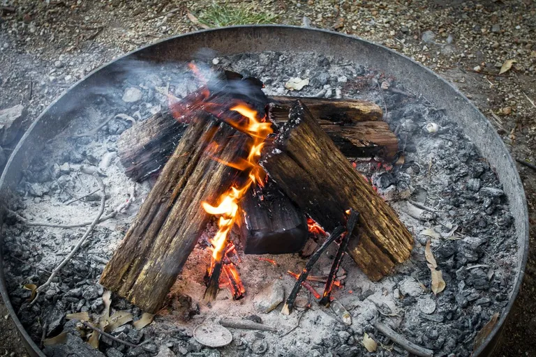 Wood vs Charcoal