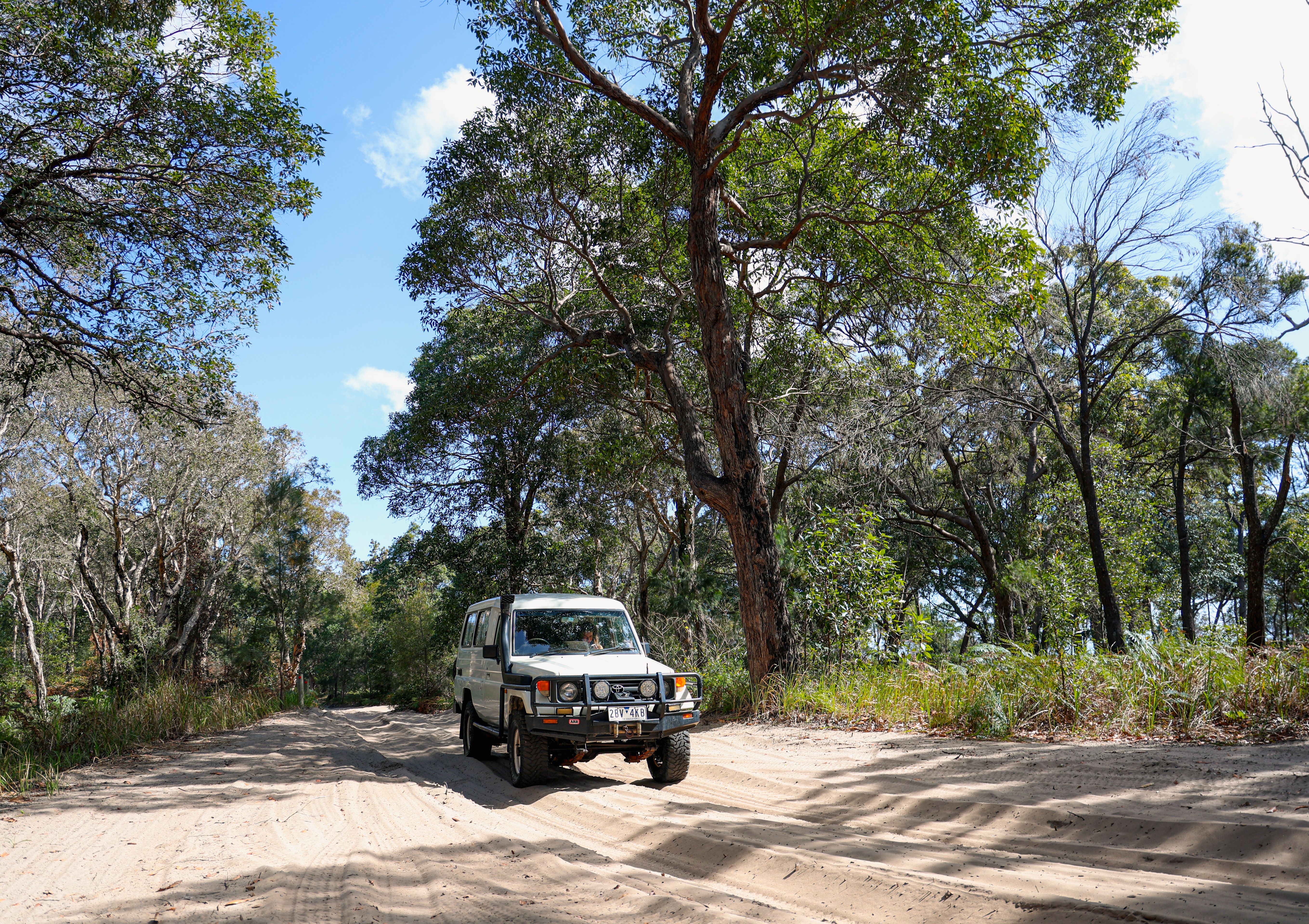 A white Toyota LandCruiser on Moreton Island in a forested area