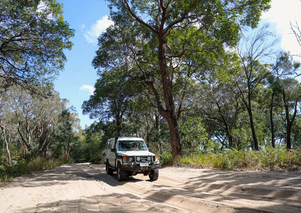 A white Toyota LandCruiser on Moreton Island in a forested area