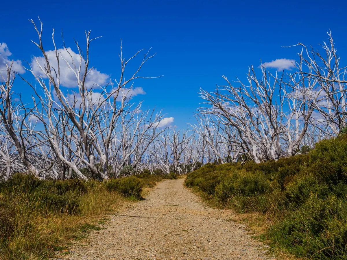 Know What To Expect From A Track