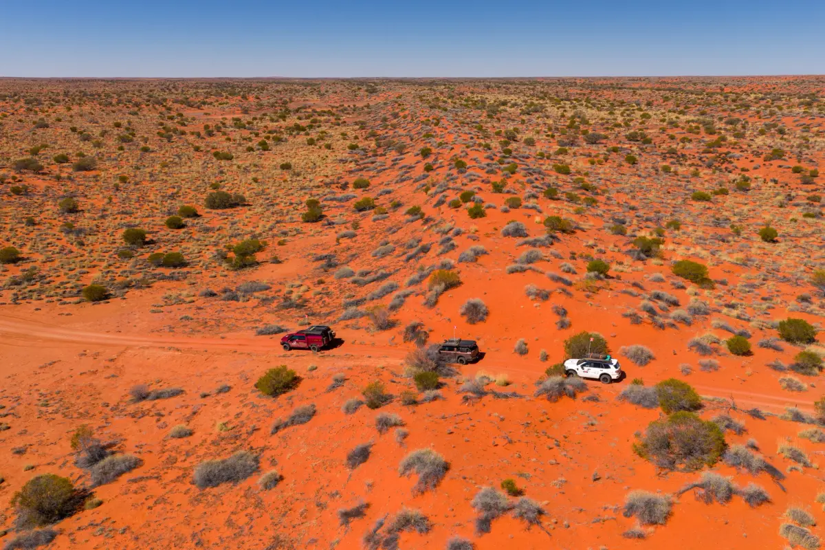 A convoy of 4X4s travelling through the Simpson Desert