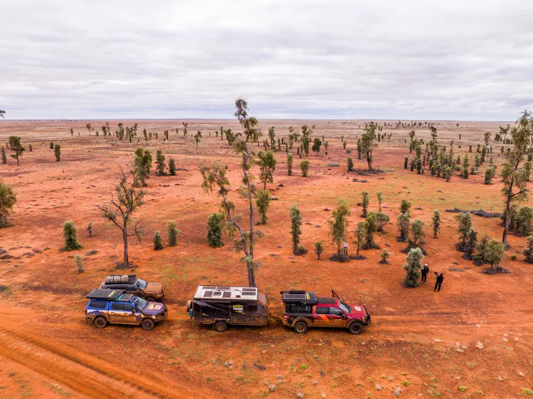 acacia puece reserve binns track northern territory