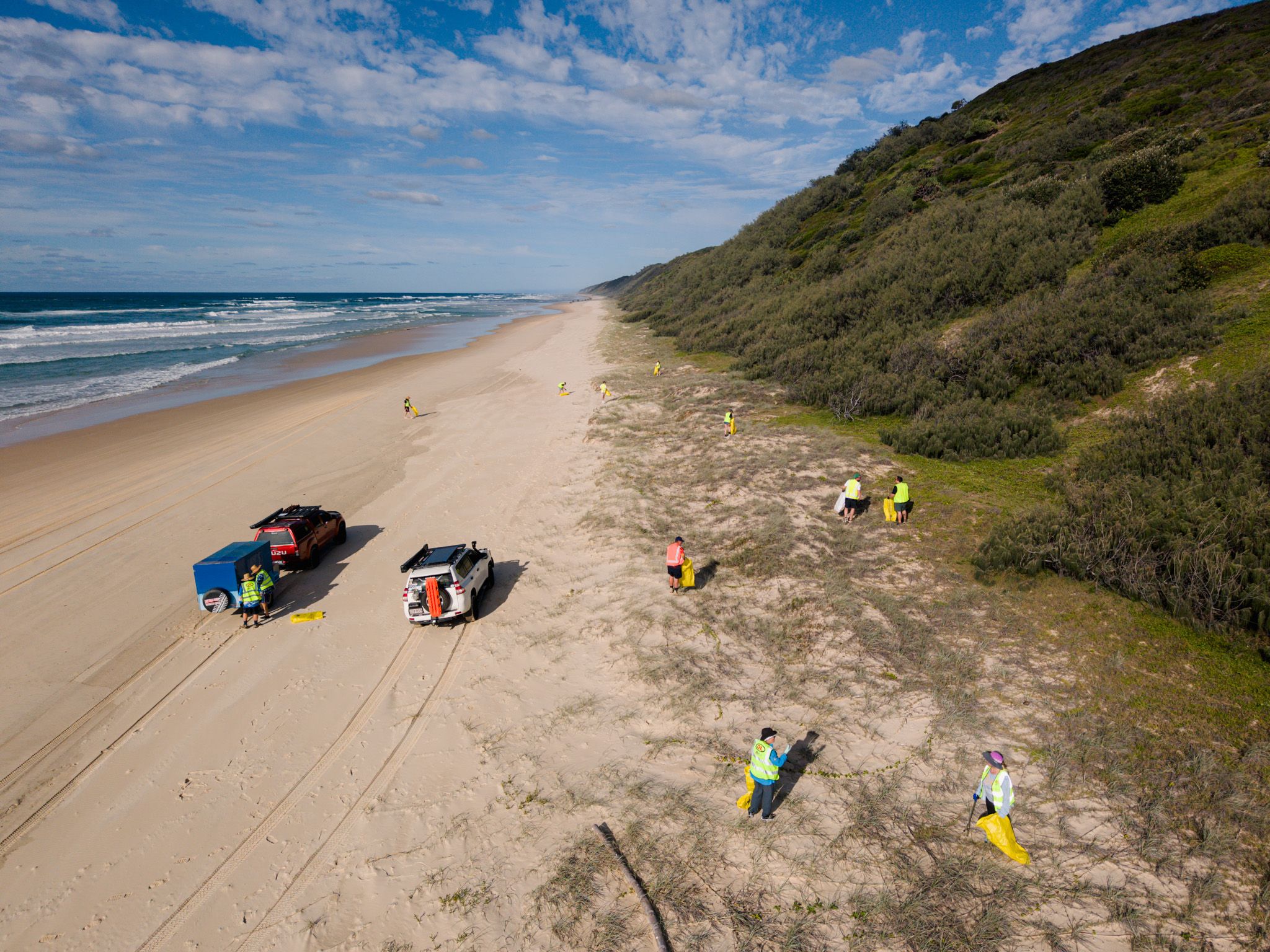 A group of people cleaning up sand dunes on K'Gari