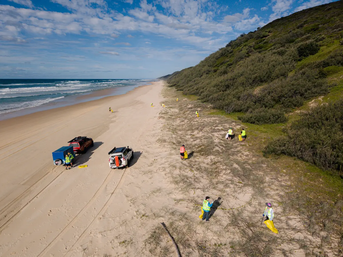 A group of people cleaning up sand dunes on K'Gari