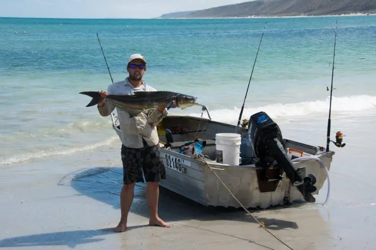 Enjoying Cobia fishing from Horrocks