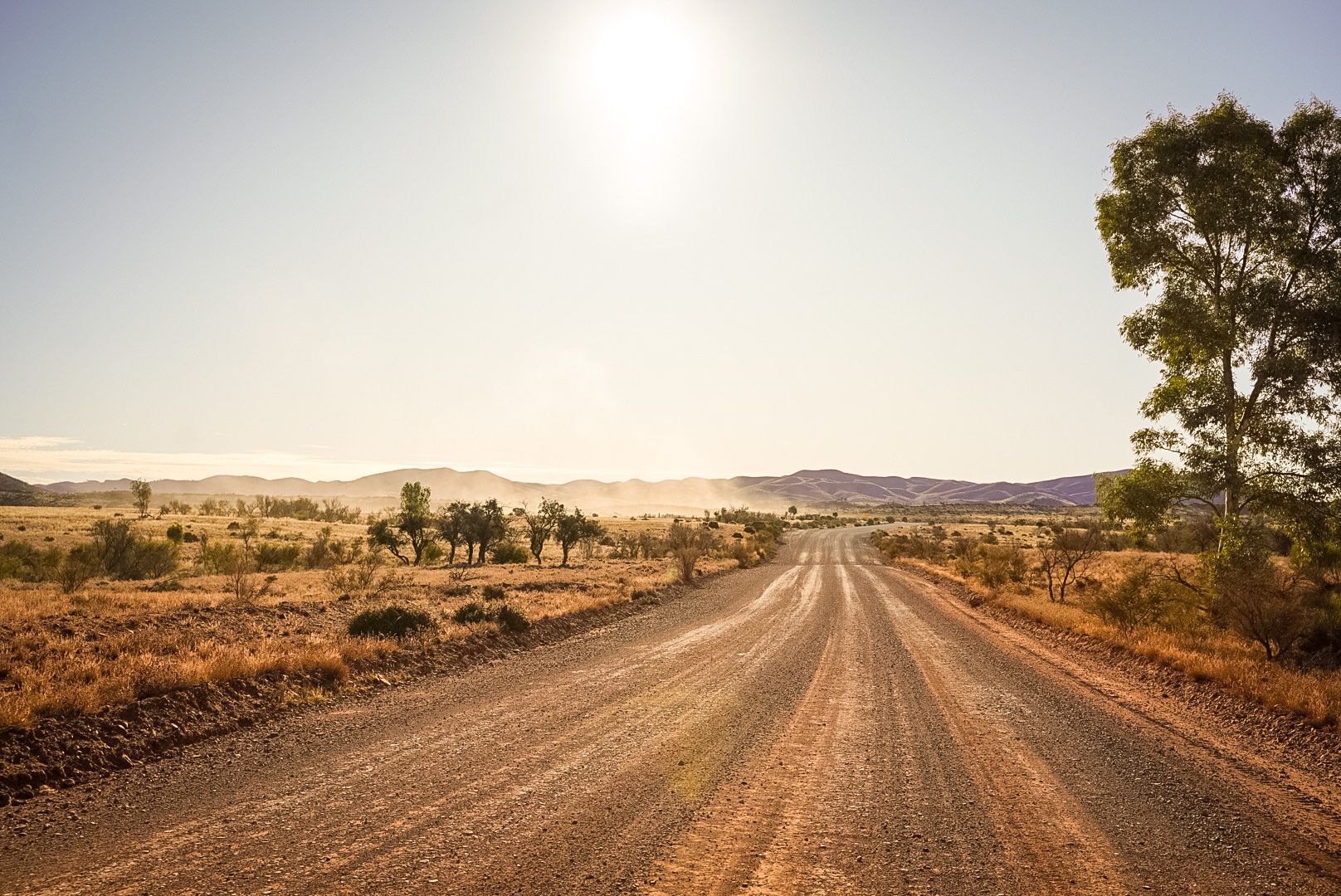 A dirt road in Australia's Outback