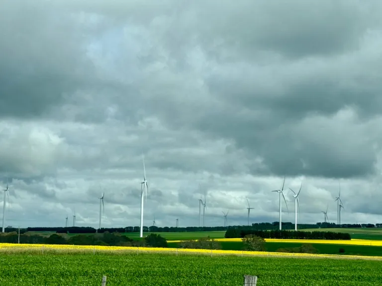 Windmill Farms