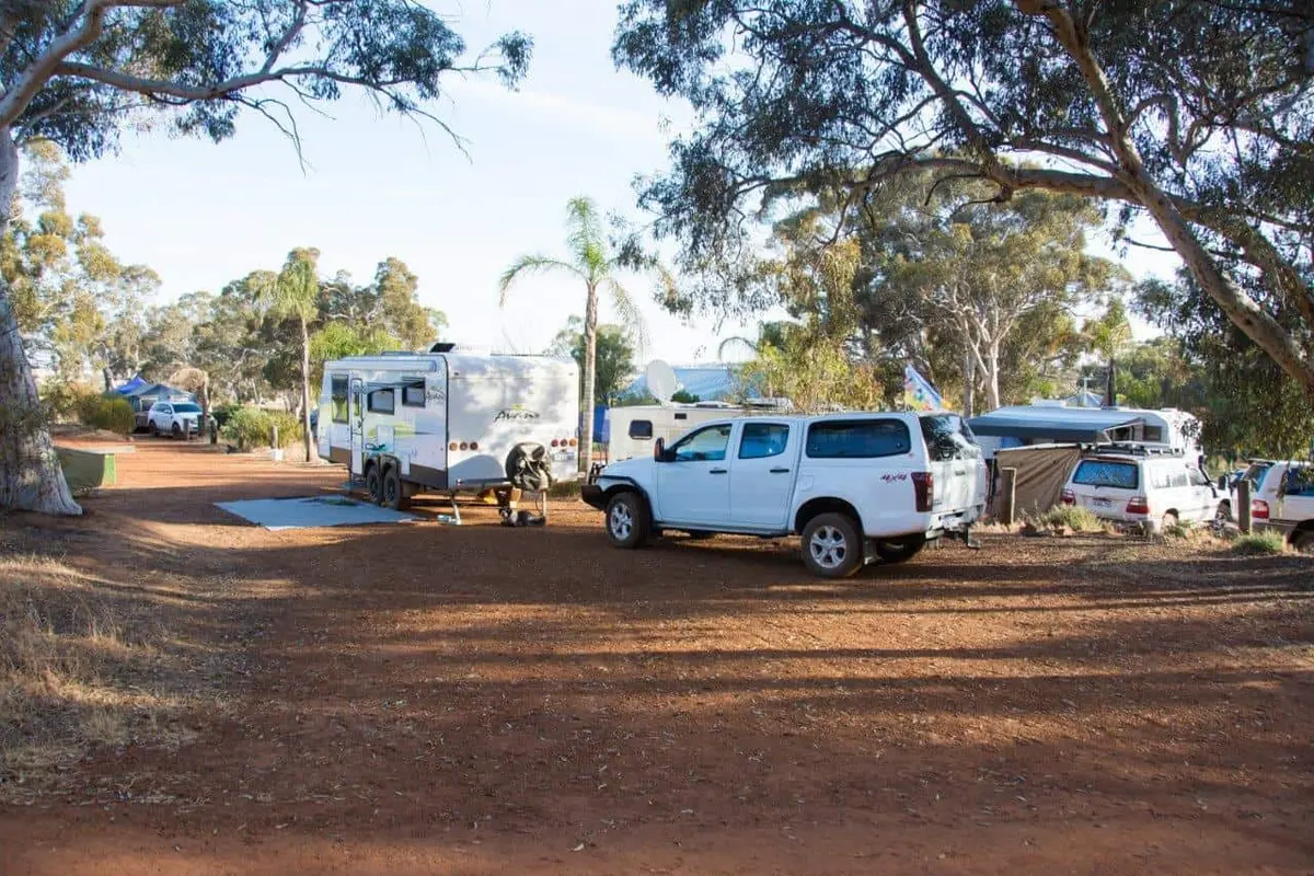 Camping at White Gum