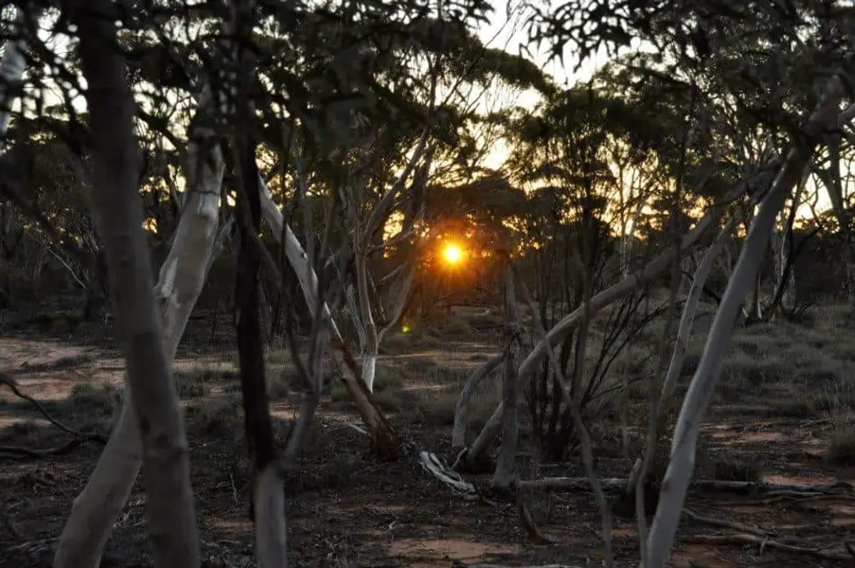 Holland Track Sunset
