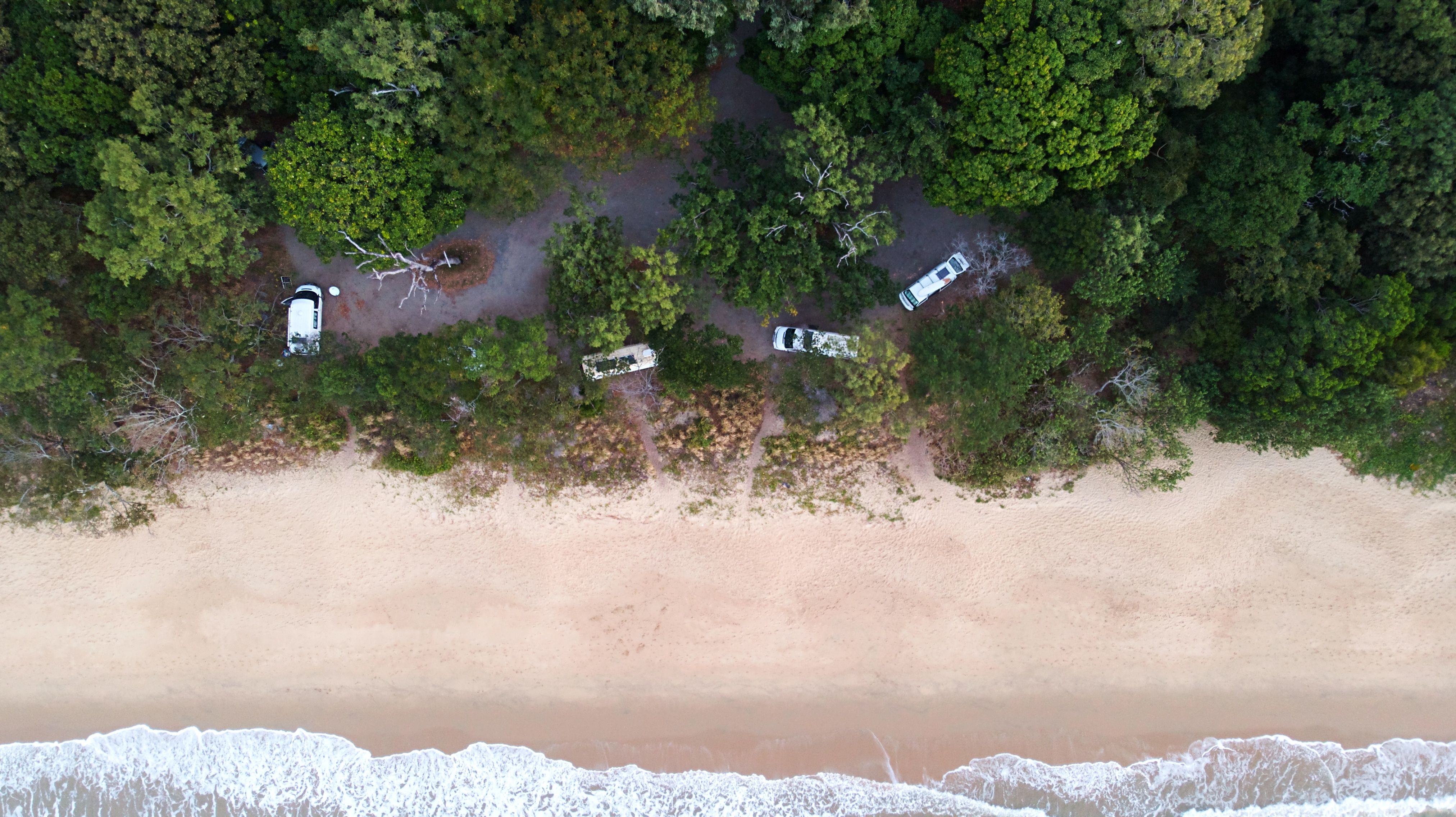 camper vans in a camp site on a tropical beach with trees