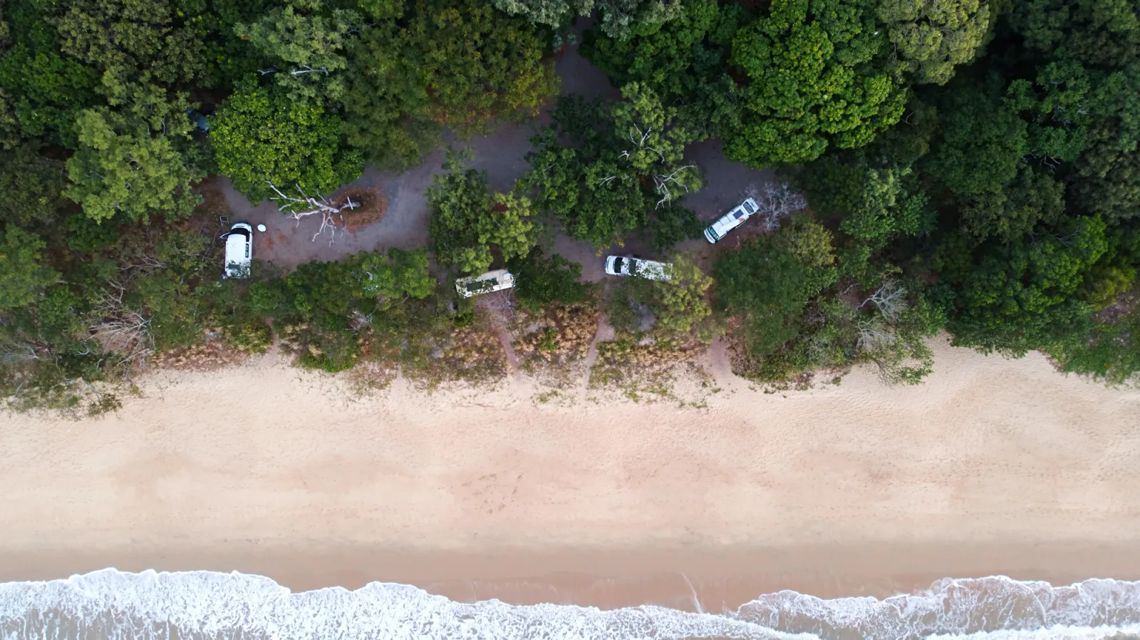 camper vans in a camp site on a tropical beach with trees
