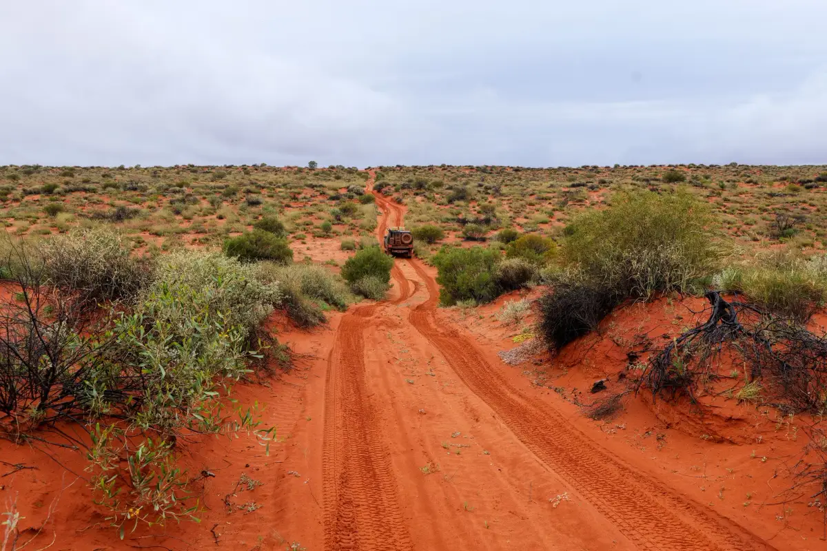 Simpson Desert, Australia