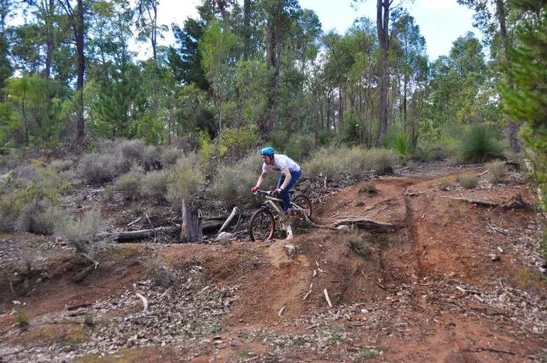Downhill tracks