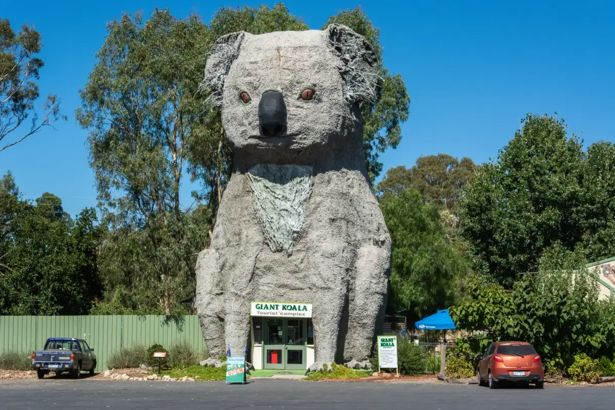 Sam The Giant Koala in Dadswells Bridge, Australia