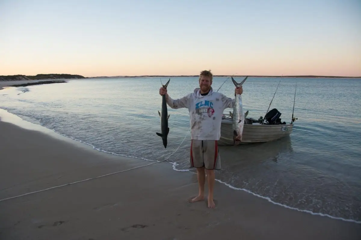 More-Steep-Point-Mackerel