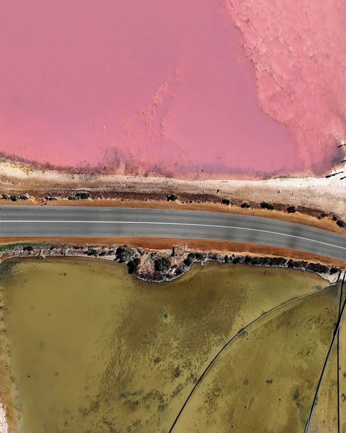 Watermelon Avenue cutting through Lake MacDonnell, SA