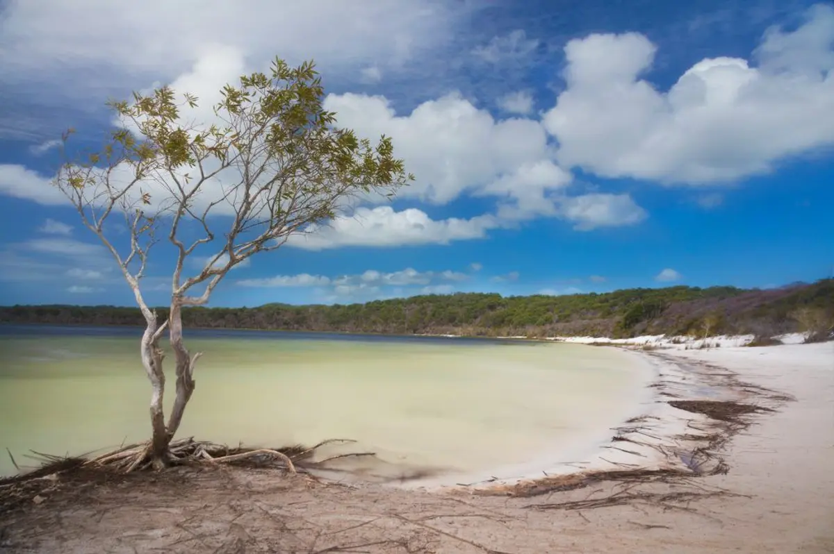 Fraser-Island-Flash-Sale-ONLY-9-1024x681