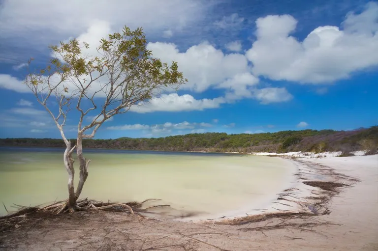 Fraser-Island-Flash-Sale-ONLY-9-1024x681