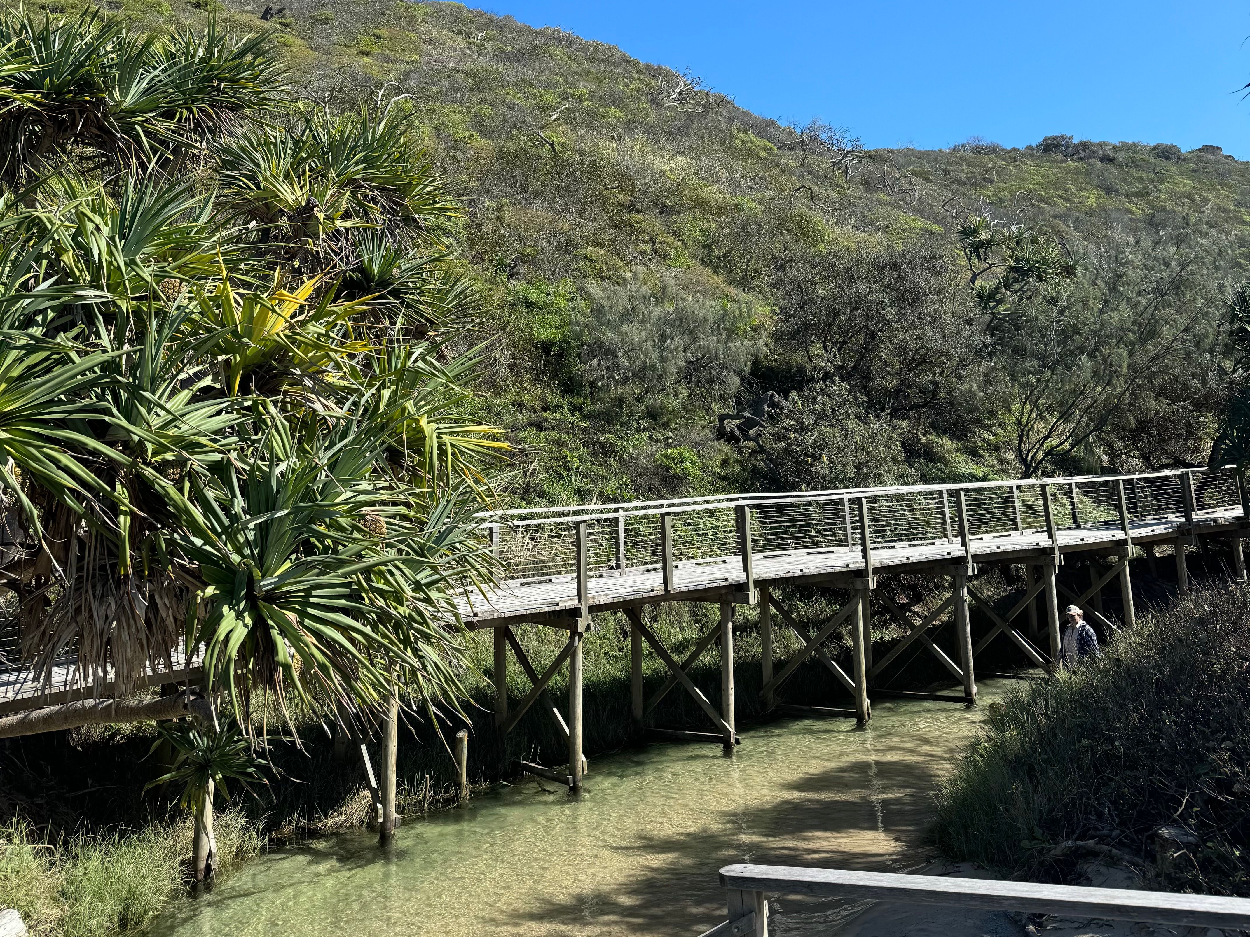 Eli Creek boardwalk, K'Gari