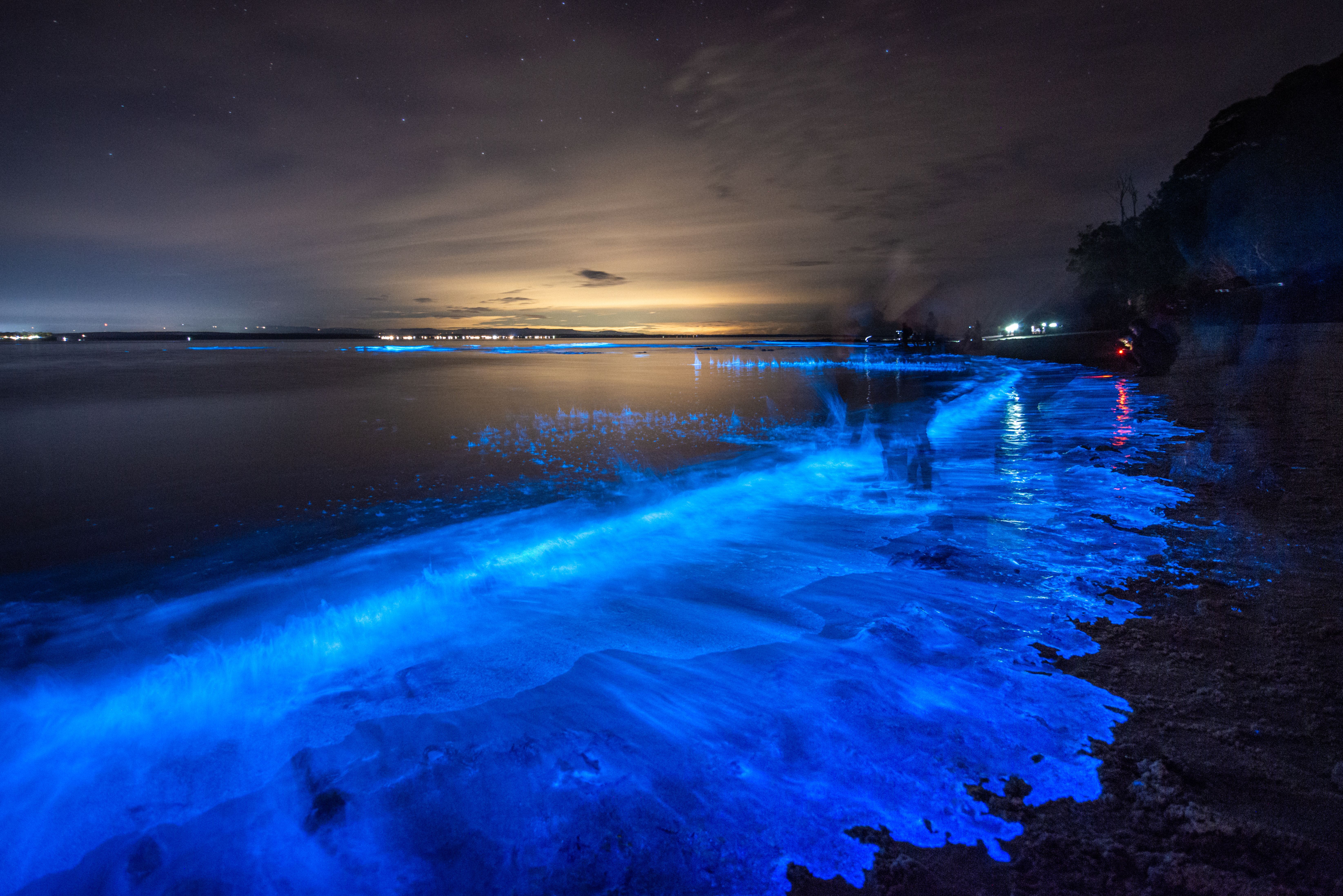 Bioluminescence at night in Jervis Bay, NSW, Australia
