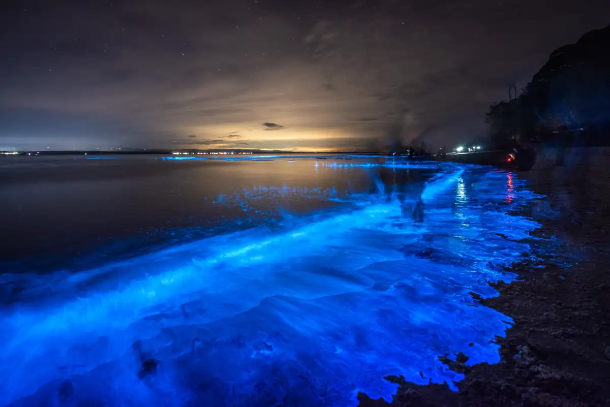 Bioluminescence at night in Jervis Bay, NSW, Australia