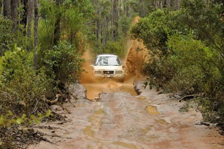 Captain Fawcett Track