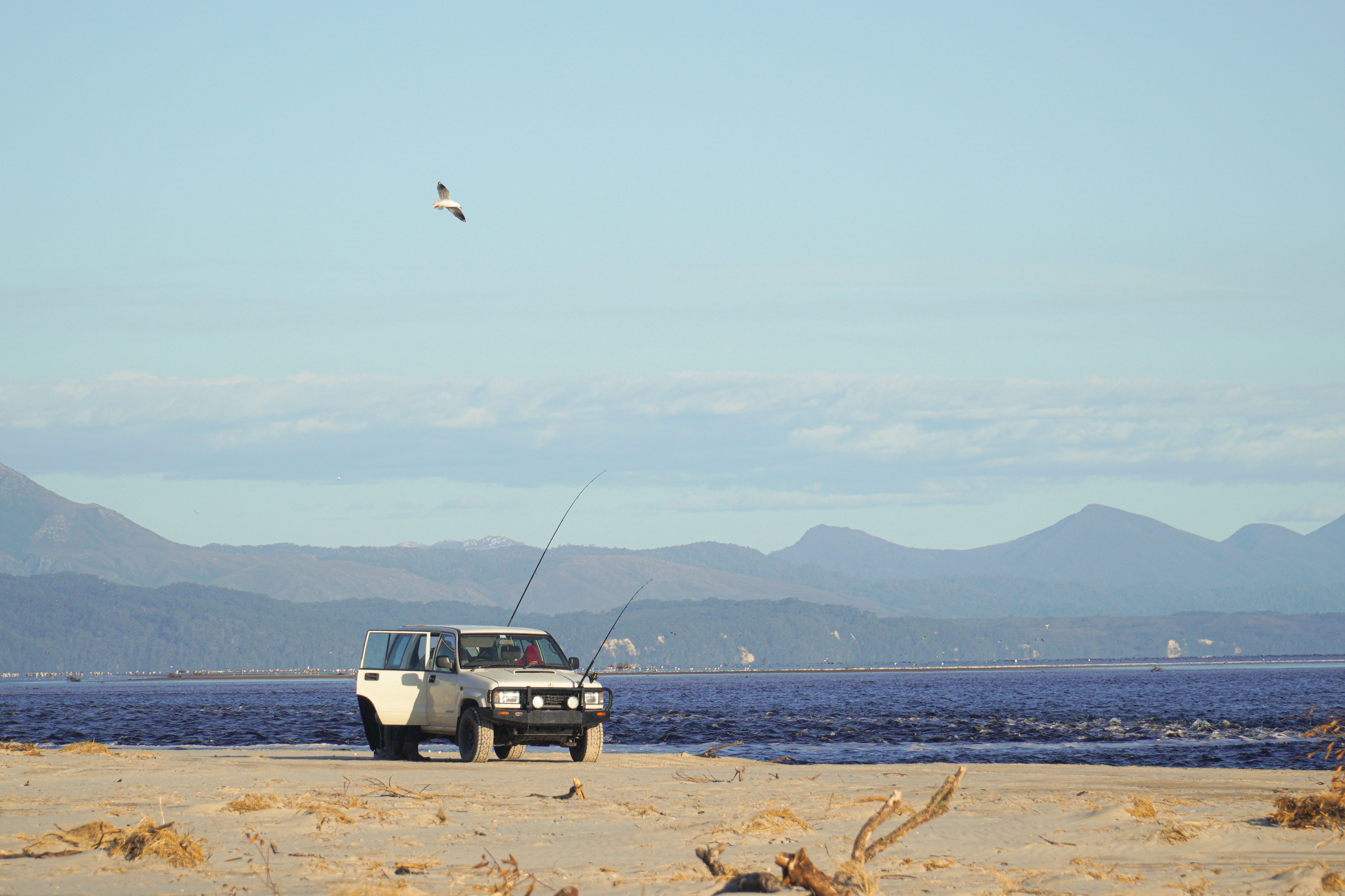 Nissan Patrol with fishing rods on a beach in Tasmania, Australia