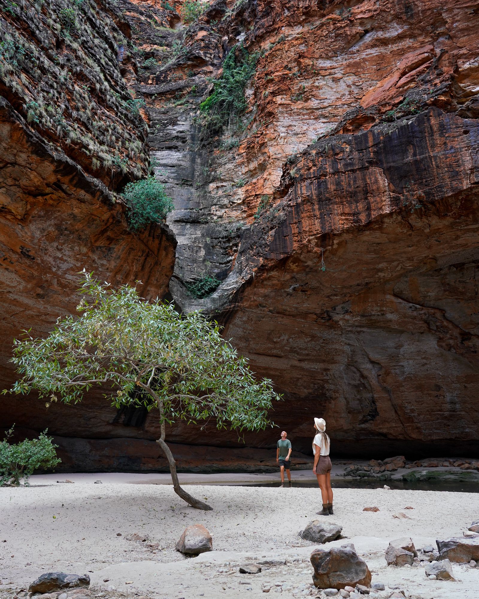 Cathedral Gorge in Purnululu National Park, WA