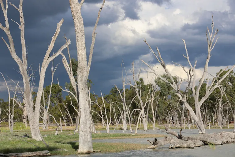 lara wetlands