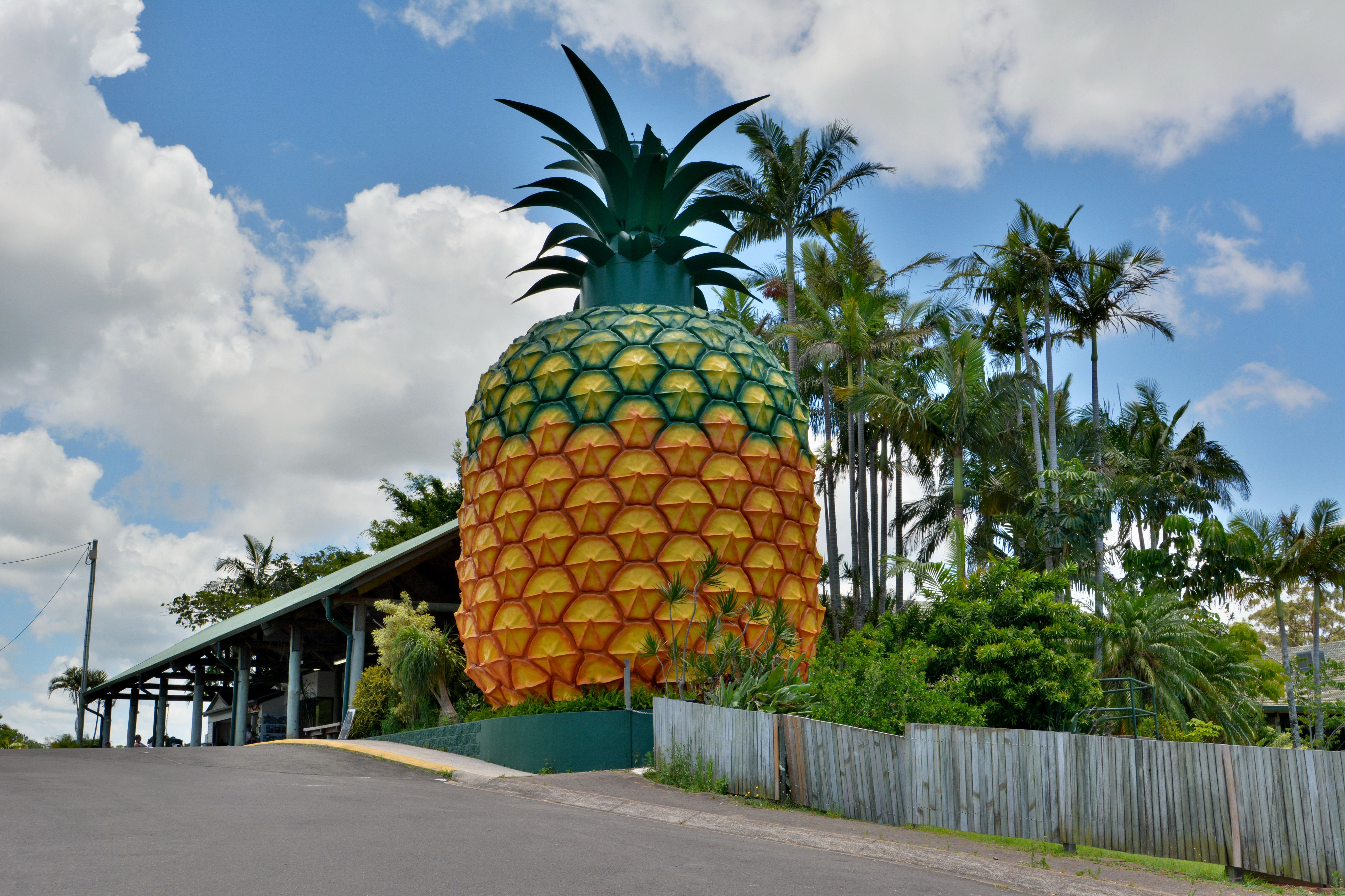The Big Pineapple in Woombye