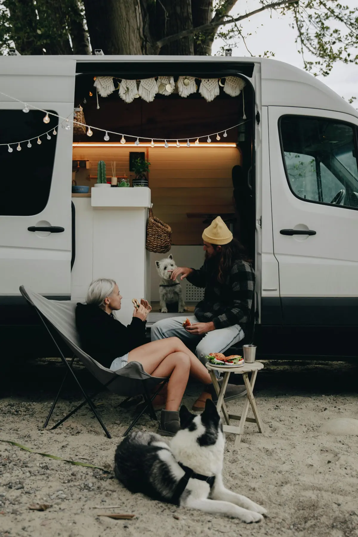 A couple and their dogs sitting outside their campervan