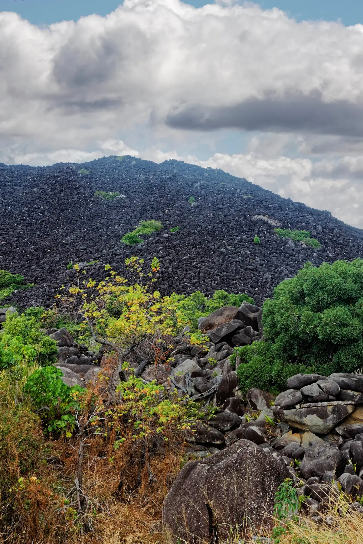 Kalkajaka (Black Mountain), QLD