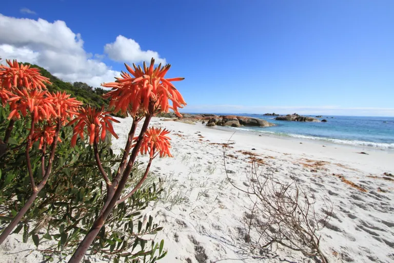 Deep Creek Campsite, TAS