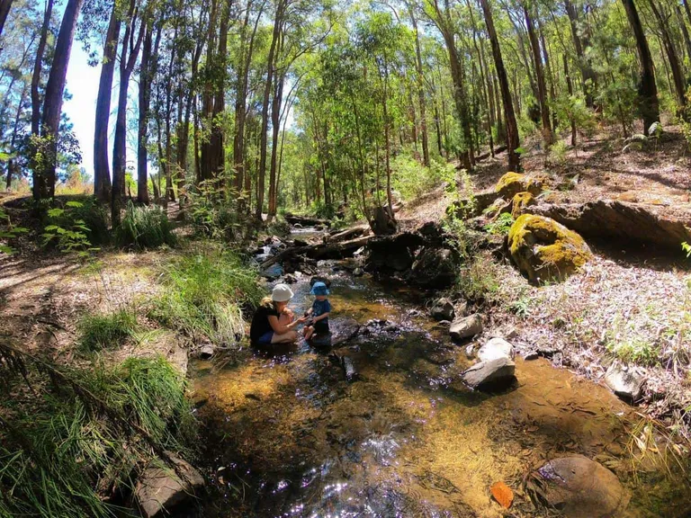 Enjoying the creeks