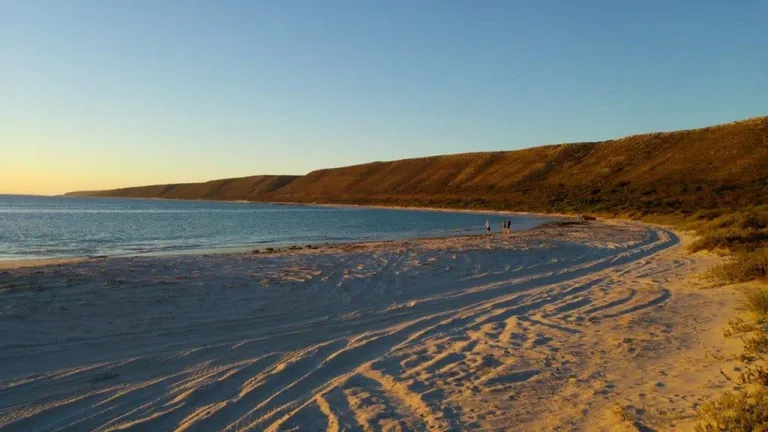 Little Bay camping in Horrocks