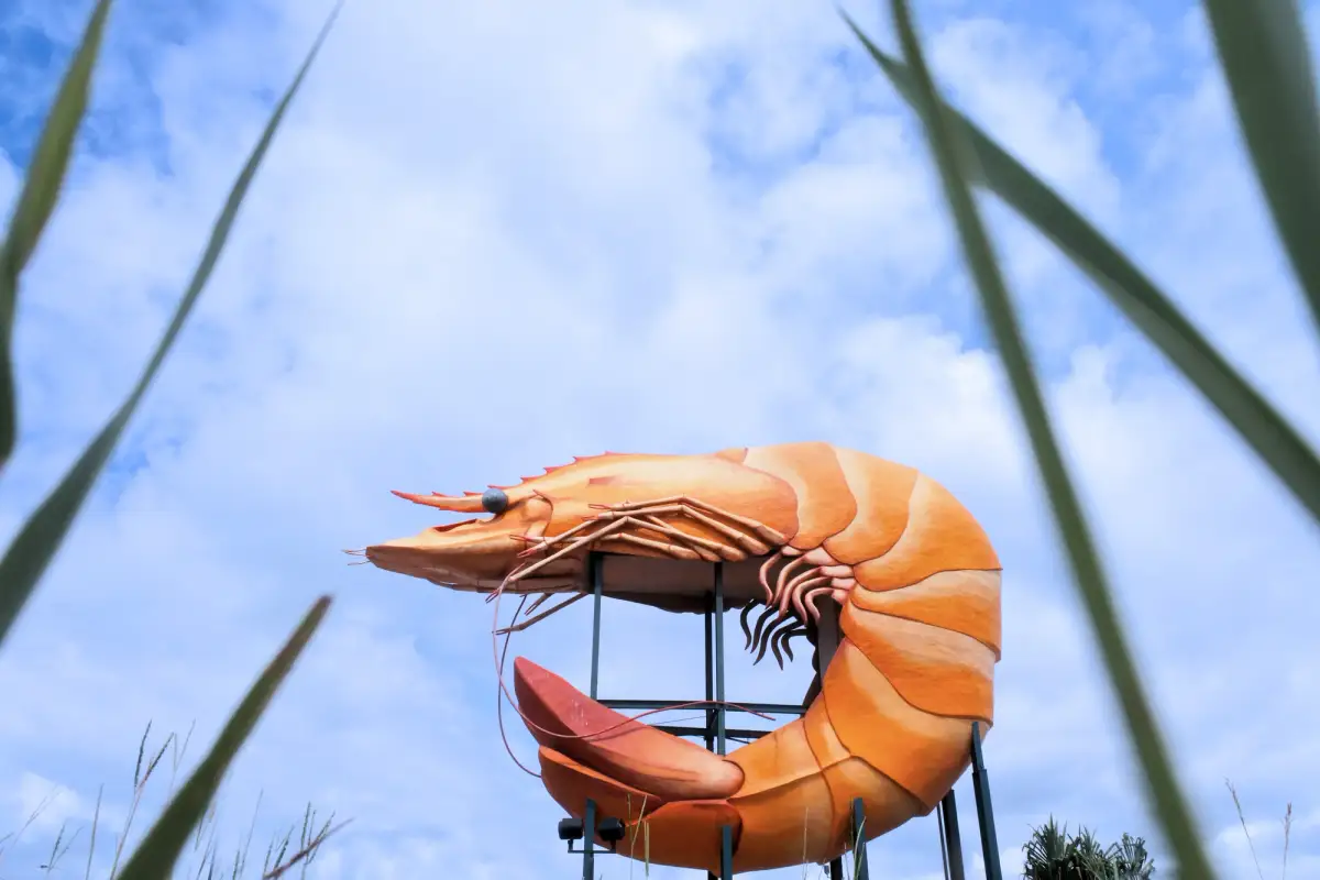 The Big Prawn in Ballina, Australia
