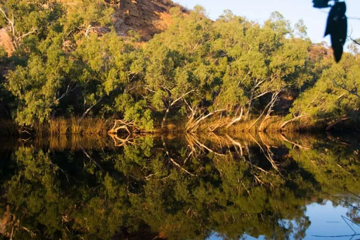 Ellendale Pool reflections
