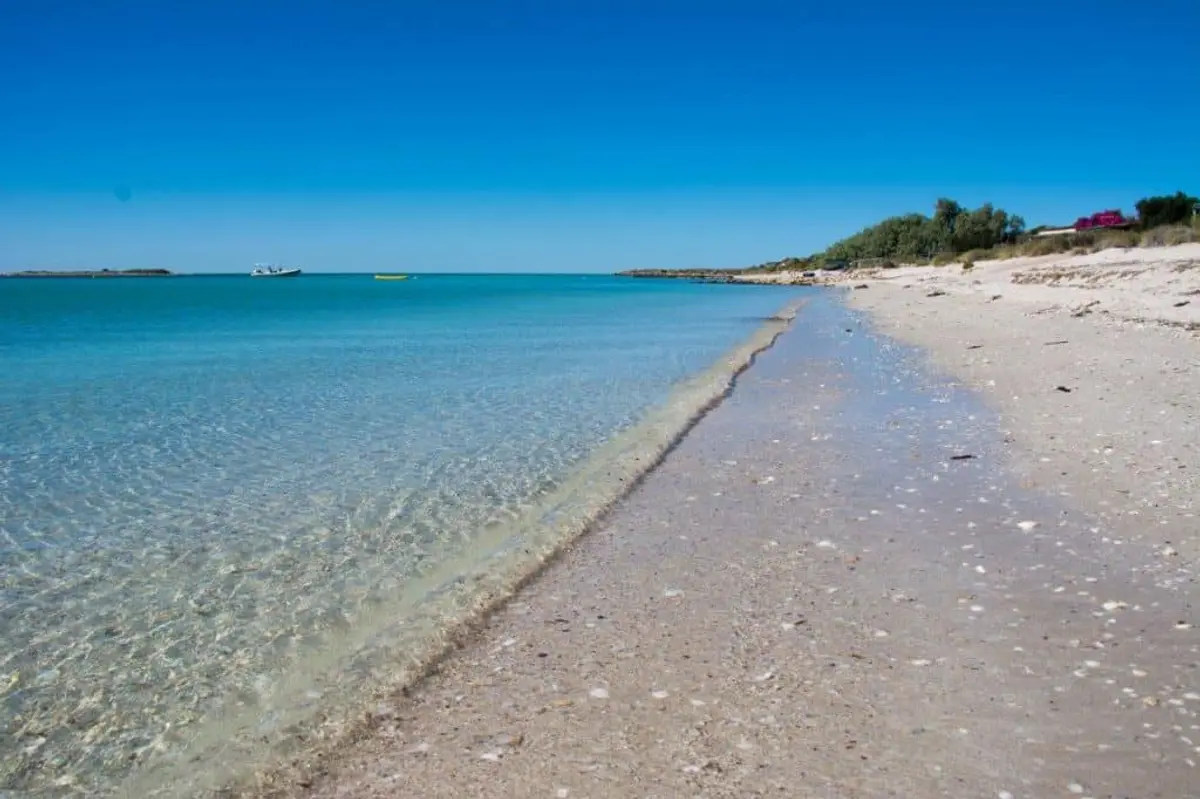 Dirk Hartogs Beaches