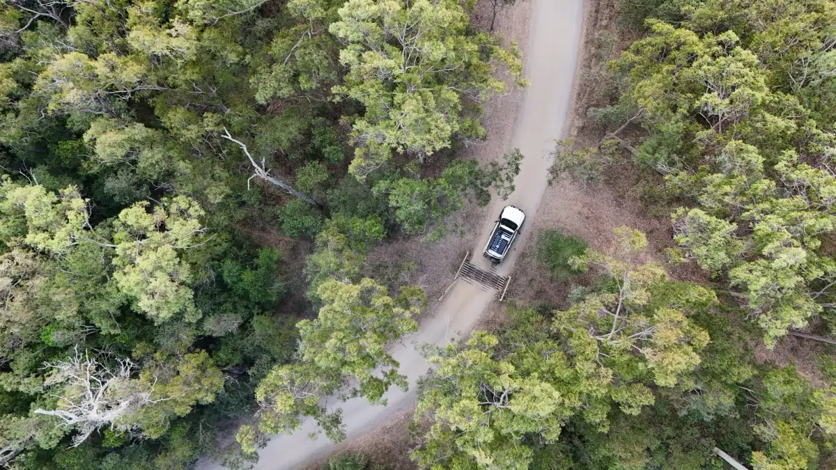 4WD on forest trail in Brooyar State Forest