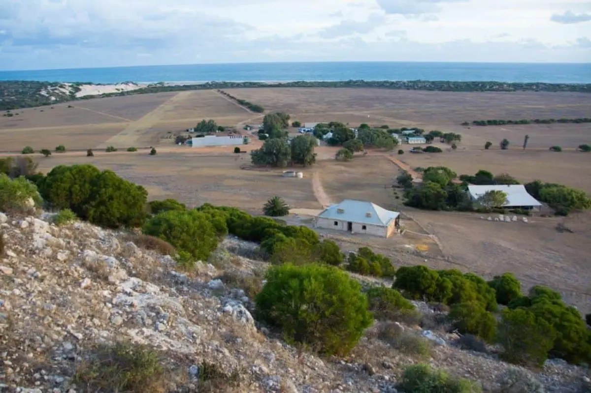 Linga Longa at Lynton Station