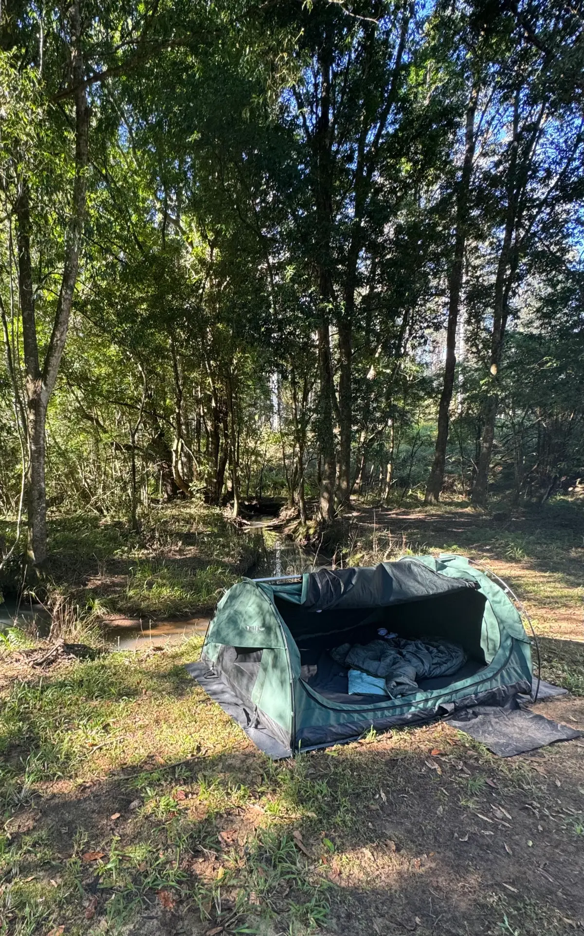Green swag at campsite