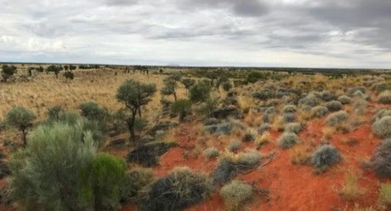 Desert