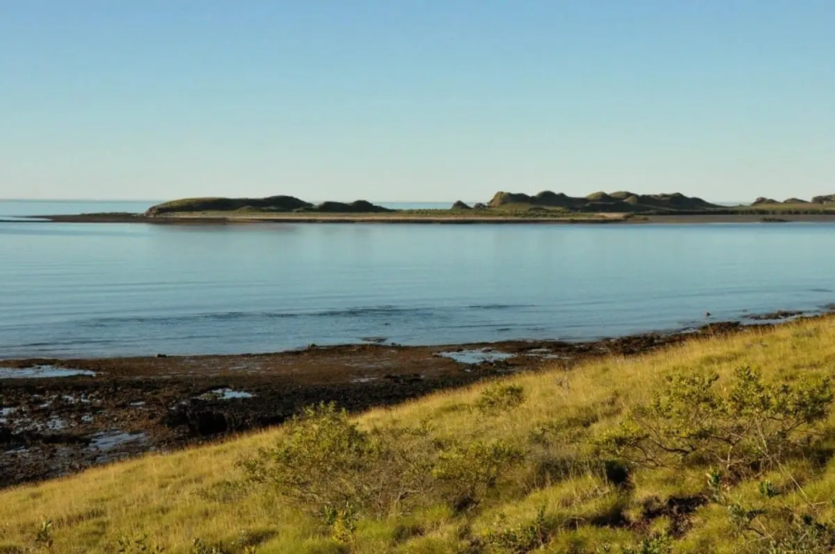 Cleaverville glass off