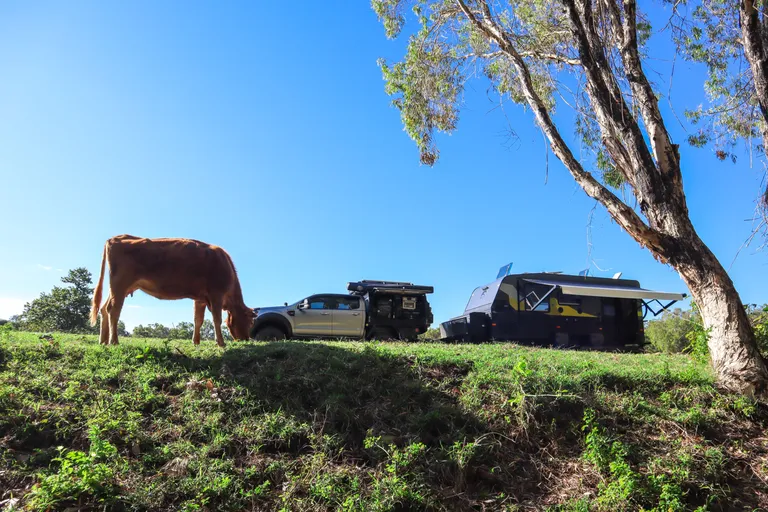 private hipcamp farm stay pet friendly